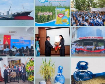nhung su kien noi bat cua angimex nam 2012