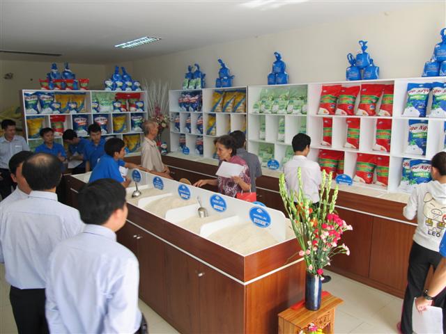 nguoi dan tp  ho chi minh da bat dau tieu dung gao angimex