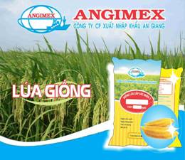 nhung su kien noi bat cua angimex nam 2012